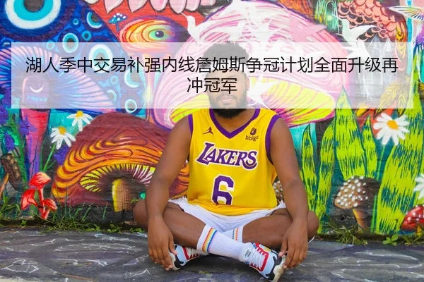 湖人季中交易补强内线詹姆斯争冠计划全面升级再冲冠军